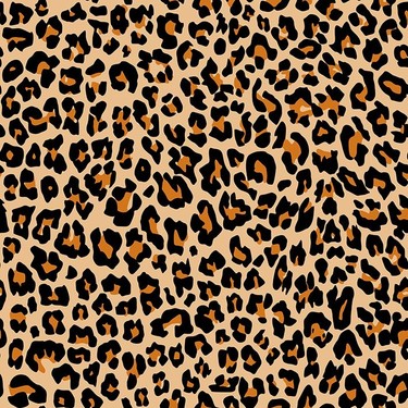 Leopard - Aintap