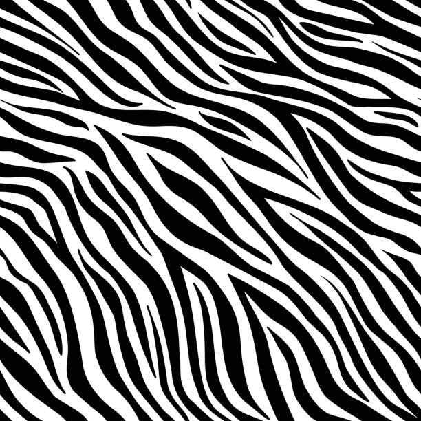 Zebra - Aintap
